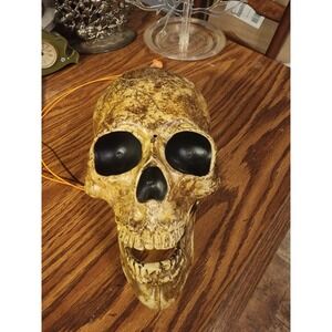 Vintage 2003 Magic Power HALLOWEEN Light Up Talking Singing Moving Jaw Skull